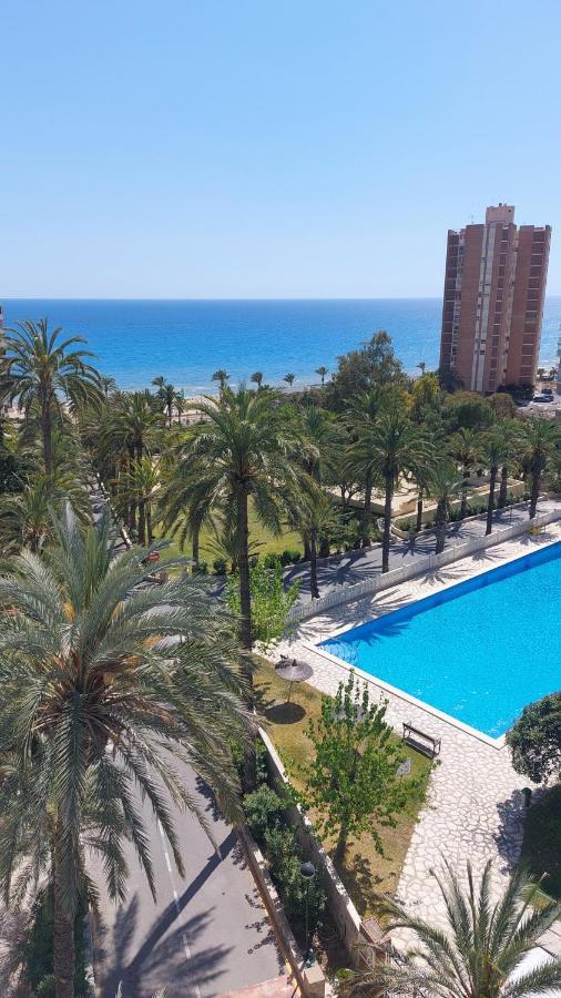 Barbara 20 Playa Muchavista Alicante 엘 캄펠로 외부 사진