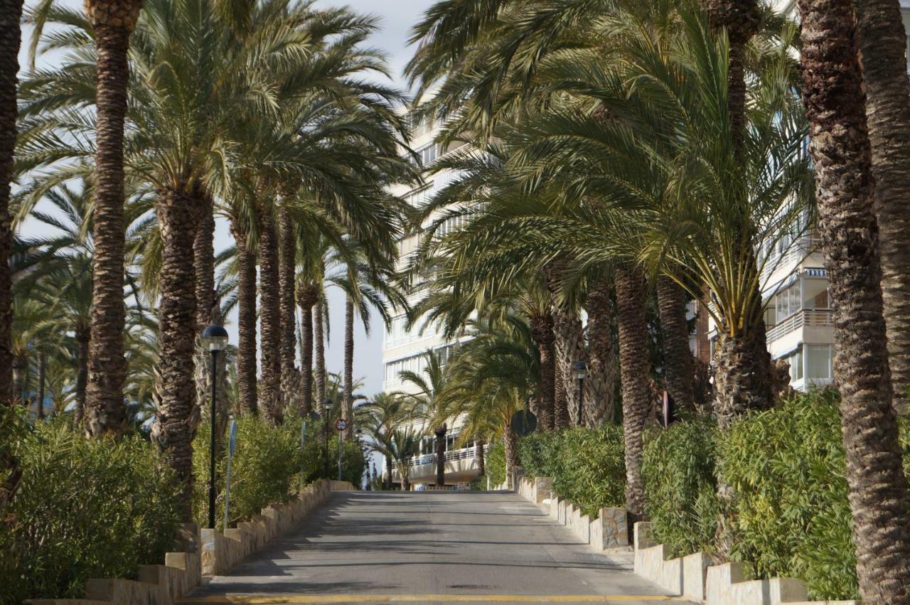 Barbara 20 Playa Muchavista Alicante 엘 캄펠로 외부 사진